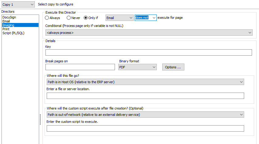 The Image director screen. The options here include conditions for execution, key words, page breaks, the destination file path for the copy generated file, and the file path for the script.